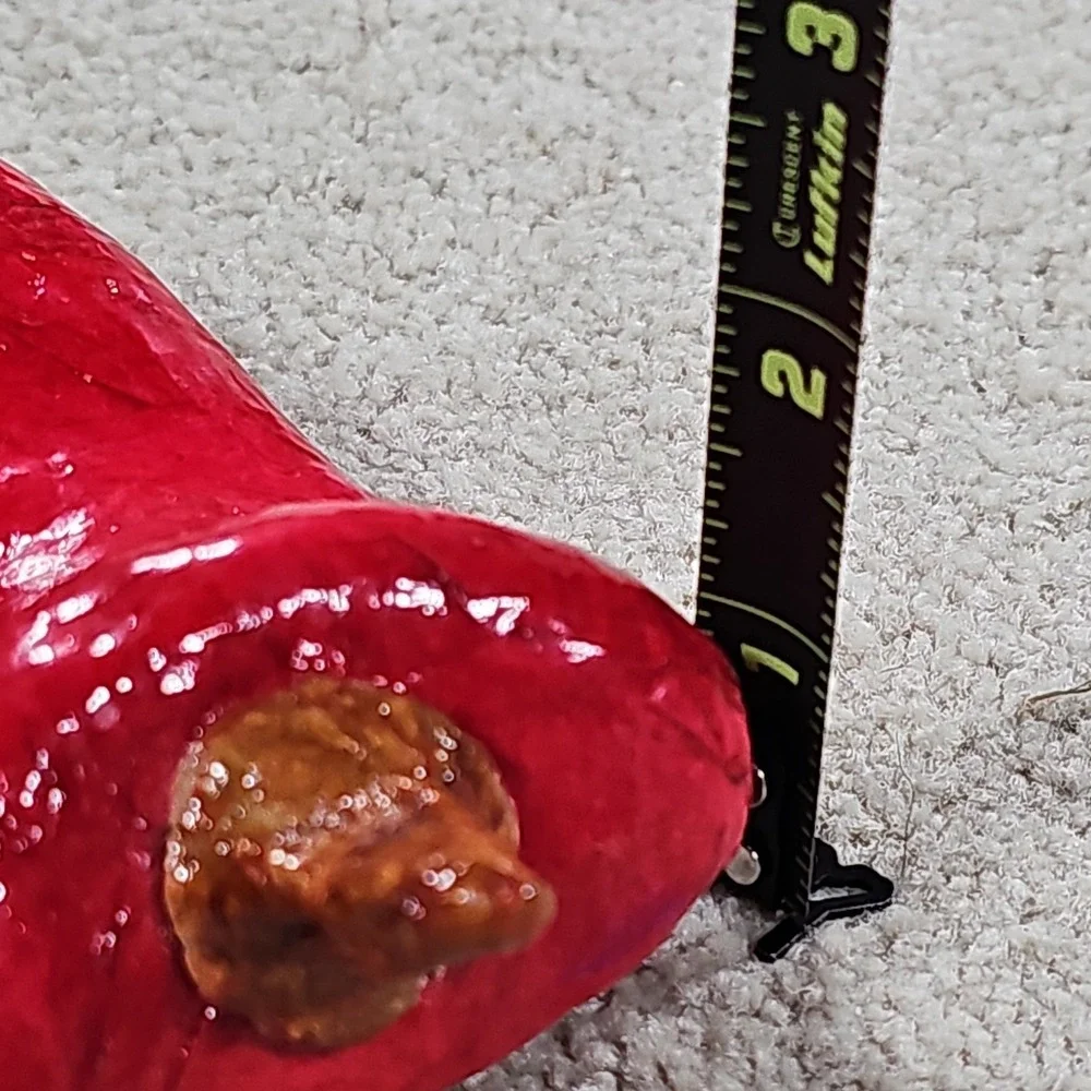 Chili Pepper Figurine Fruit Veggies Paper Mache Mexico Faux Food Summer Decor